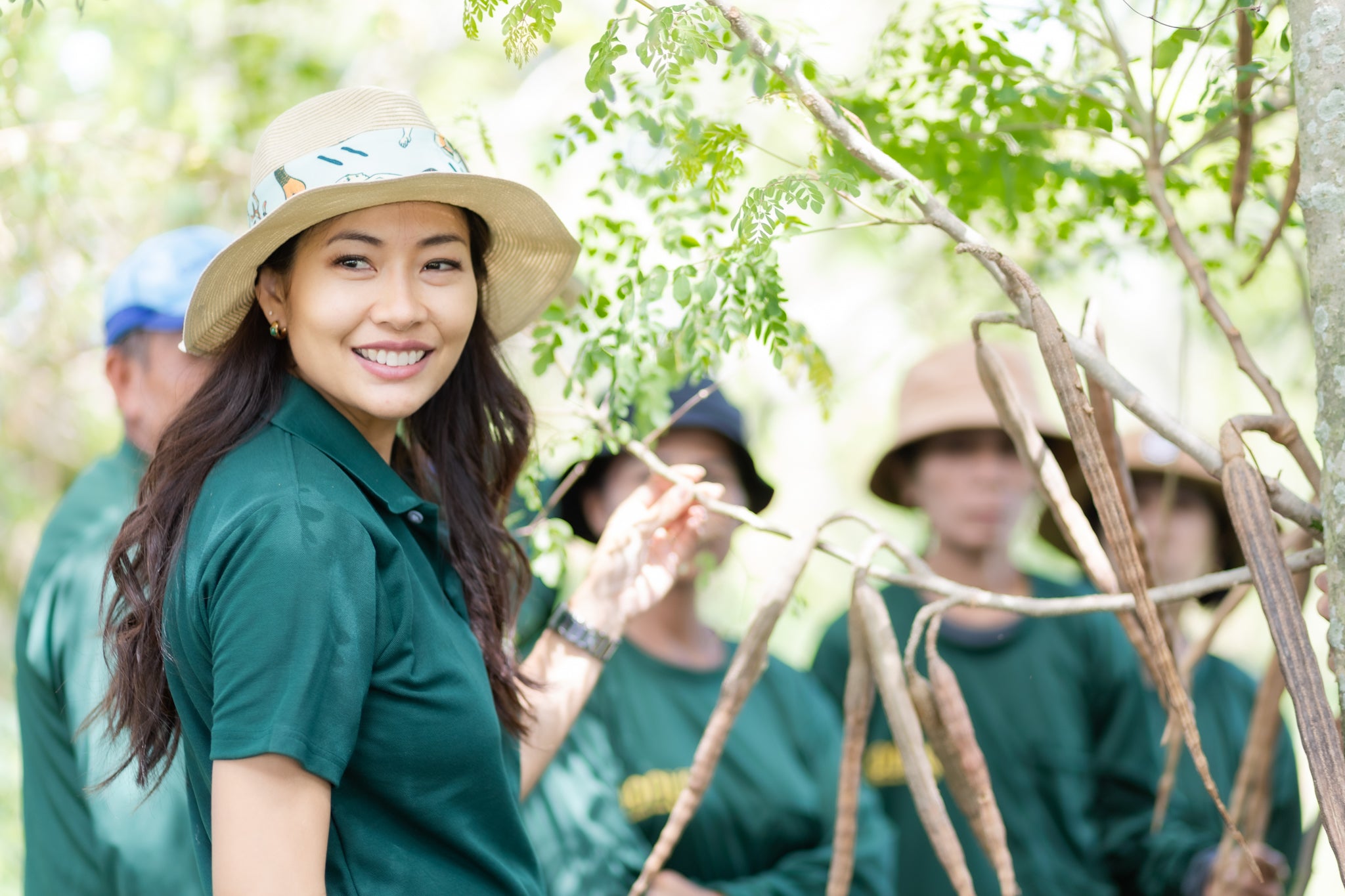 Moringa oil: A sustainable, plant-based solution for anti-aging and skin vitality