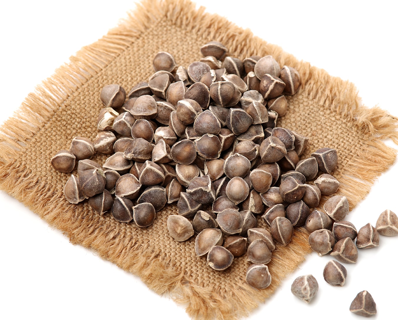 Nourish Your Skin with Panya Natural: Organic, Locally Sourced Moringa