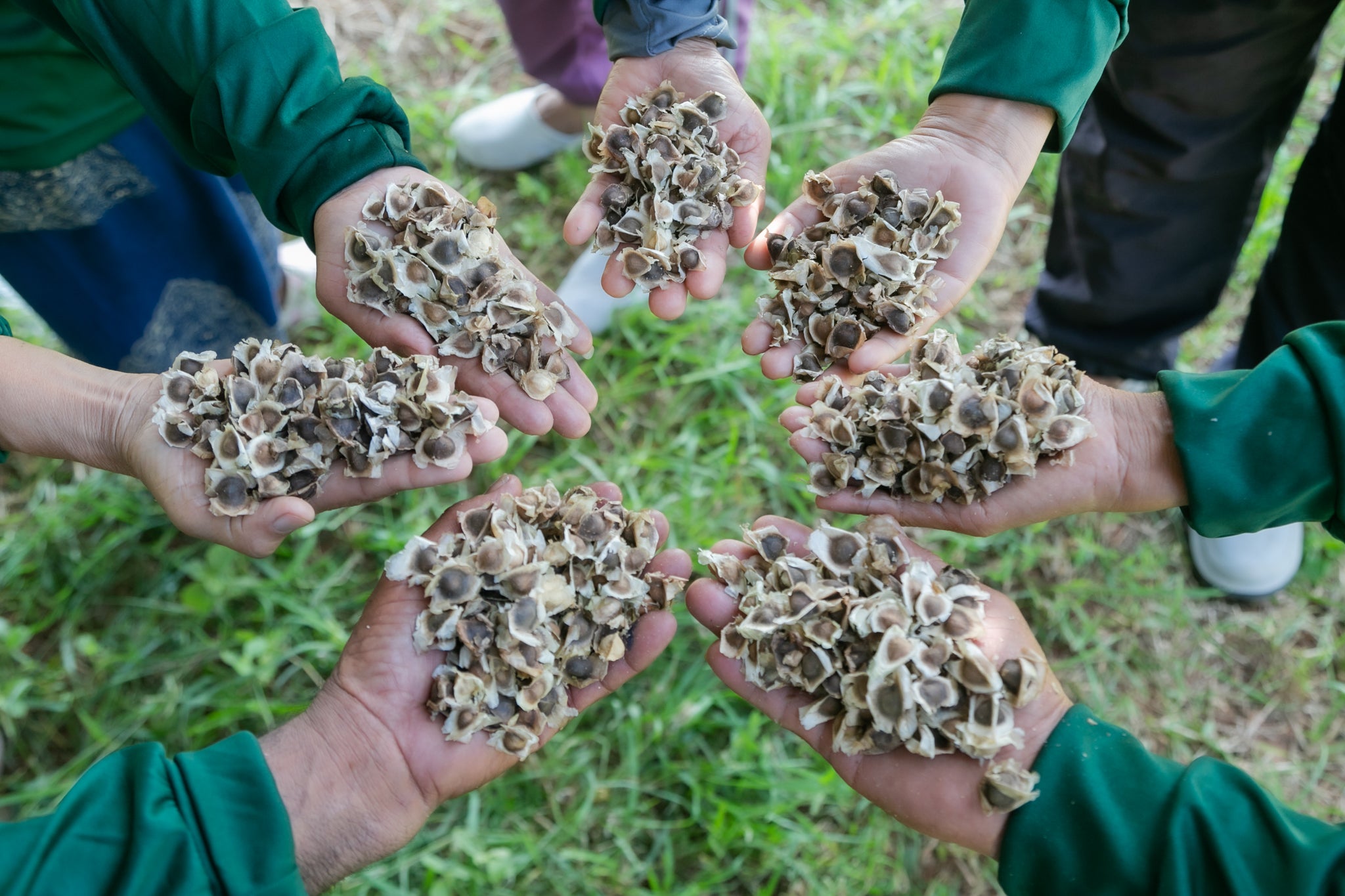 Experience the Power of Nature with Panya Natural: Ethical, Eco-Friendly Beauty