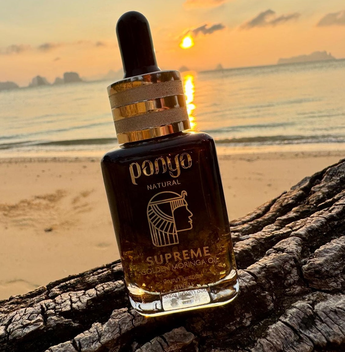 Luxury Skincare: Supreme Golden Moringa Oil | Panya Natural